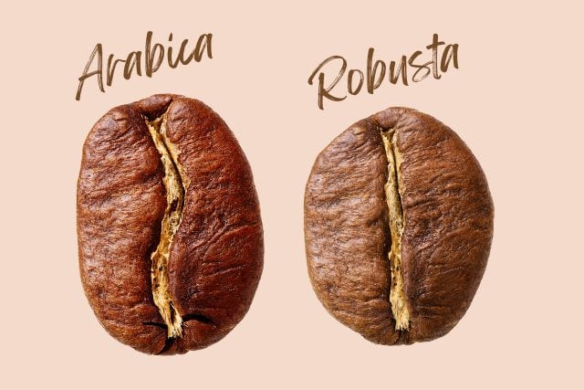 Arabica Vs. Robusta Coffee