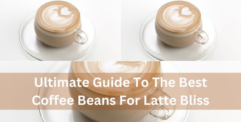 Best Coffee Beans For Latte Bliss
