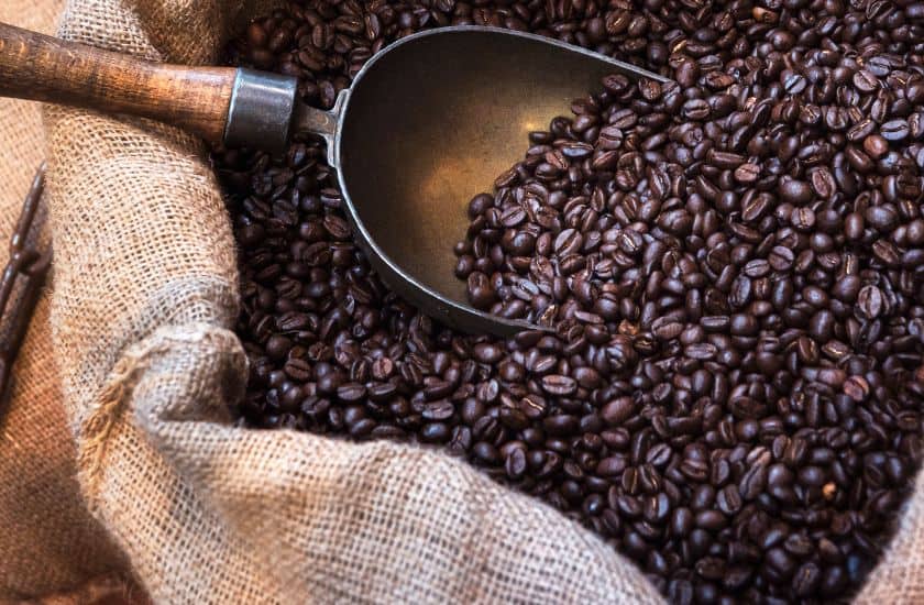 Choosing the right coffee beans
