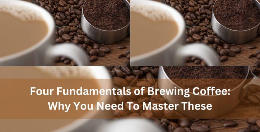 Four Fundamentals of Brewing Coffee_I
