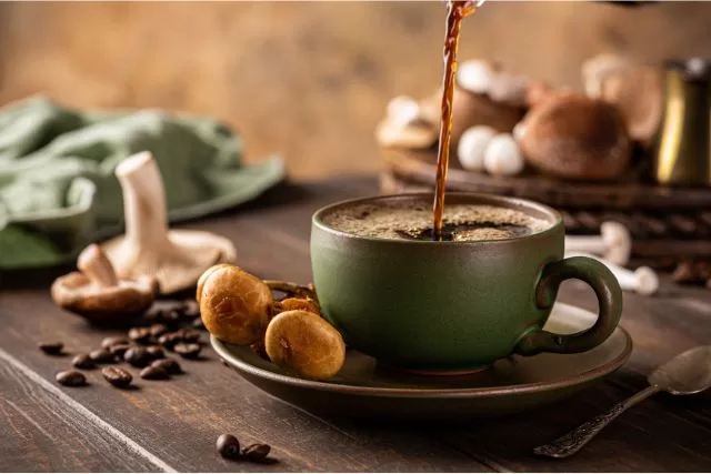 Mushroom Coffee Benefits